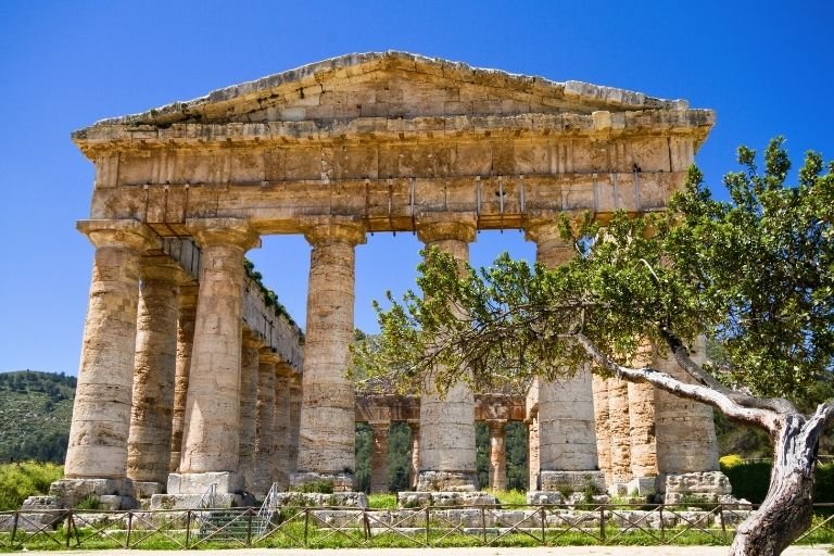 Ein Olivenbaum vor dem Tempel von Segesta im Nordwesten Siziliens