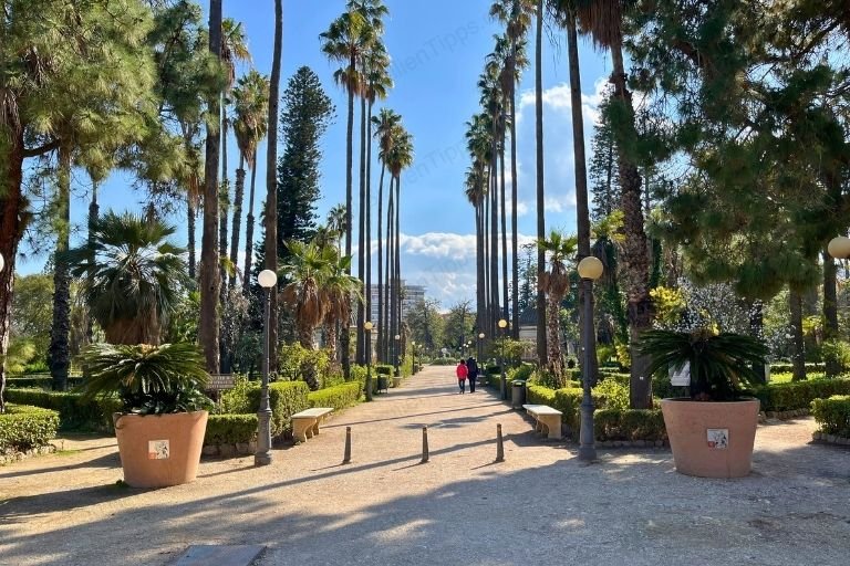 Ein von Palmen gesäumter Weg im Park Villa Giulia in Palermo