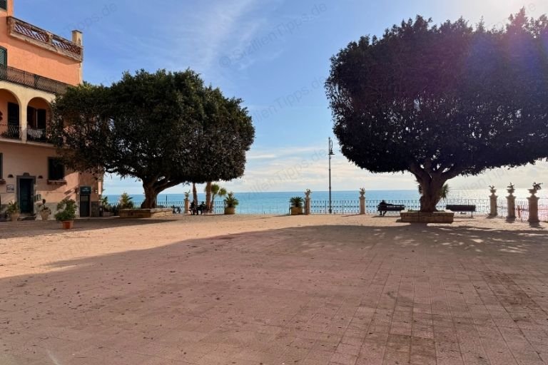 Ein Platz mit Bäumen im Sonnenschein